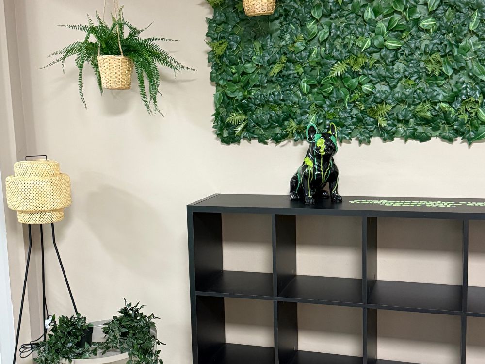 Fitnessstudio Rossla Schuhregal